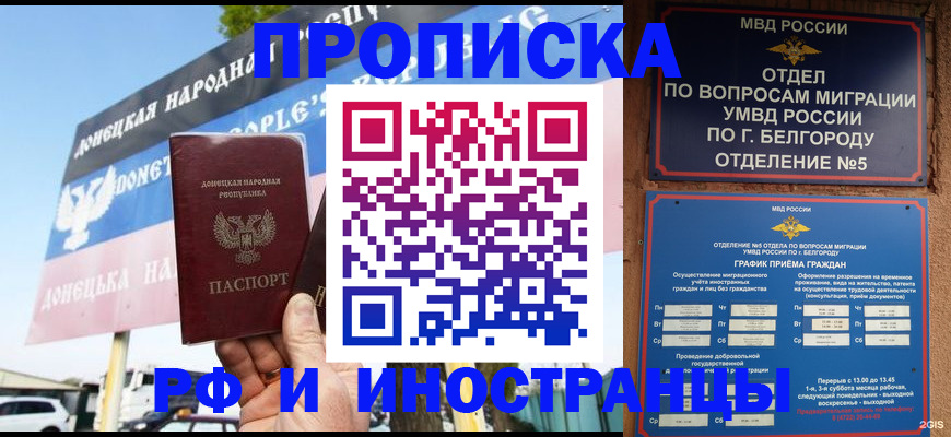 временная регистрация 2025 в Елизово